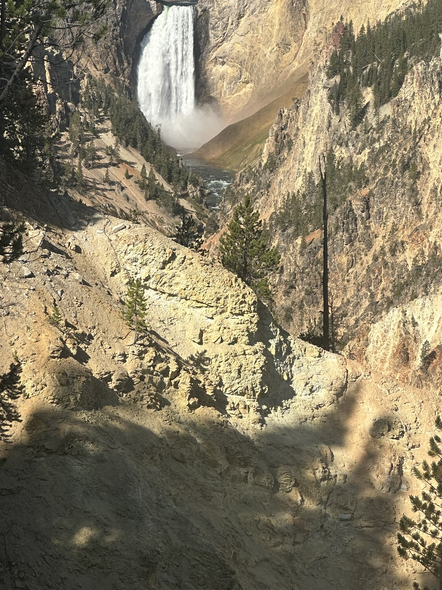 Yellowstone And Grand Teton National Parks - Image 1236